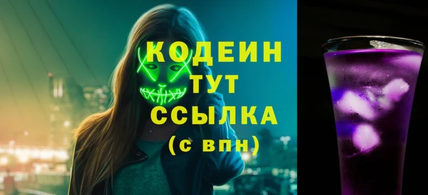 трава Ельня