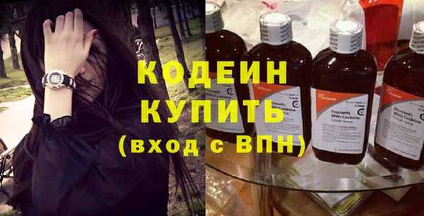 трава Ельня