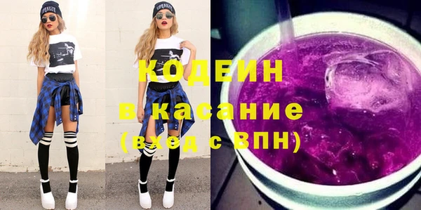 трава Ельня
