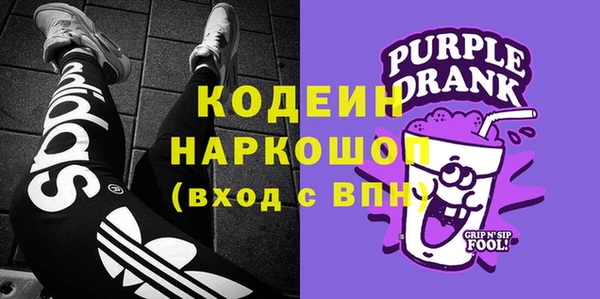 трава Ельня