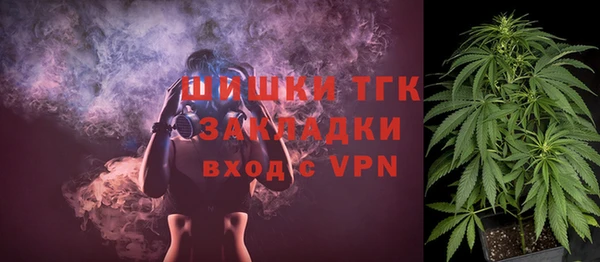трава Ельня