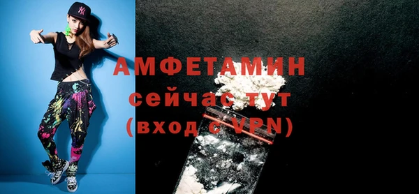 трава Ельня