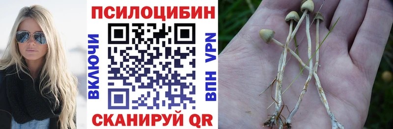 Купить закладки  Курганинск  Галлюциногенные грибы GOLDEN TEACHER 