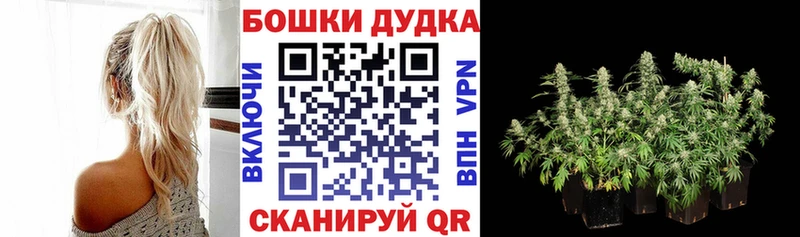 Купить закладки  Курганинск  Канабис ГИДРОПОН 